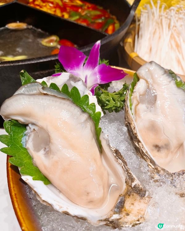 深圳探店 人均120超抵食泰式邊爐🫕