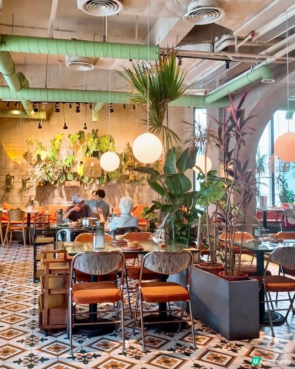 深圳探店 人均120超抵食泰式邊爐🫕