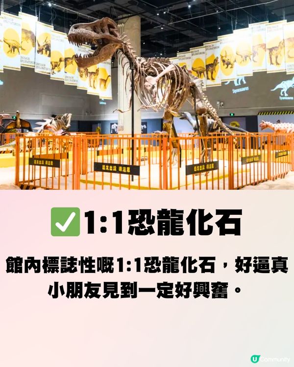 深圳20000呎兒童遊樂場🎠恐龍館/波波池/VR體驗‼️