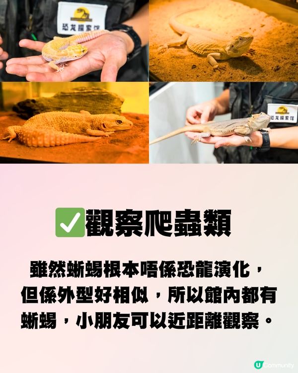 深圳20000呎兒童遊樂場🎠恐龍館/波波池/VR體驗‼️