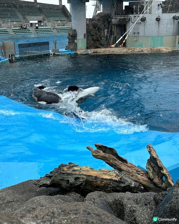 名古屋港水族館