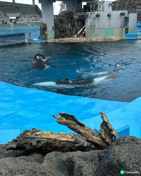 名古屋港水族館