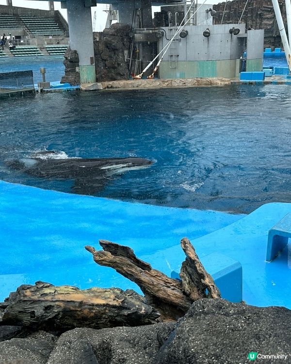 名古屋港水族館