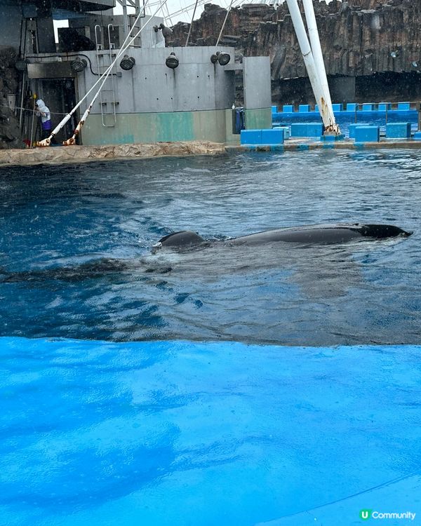 名古屋港水族館