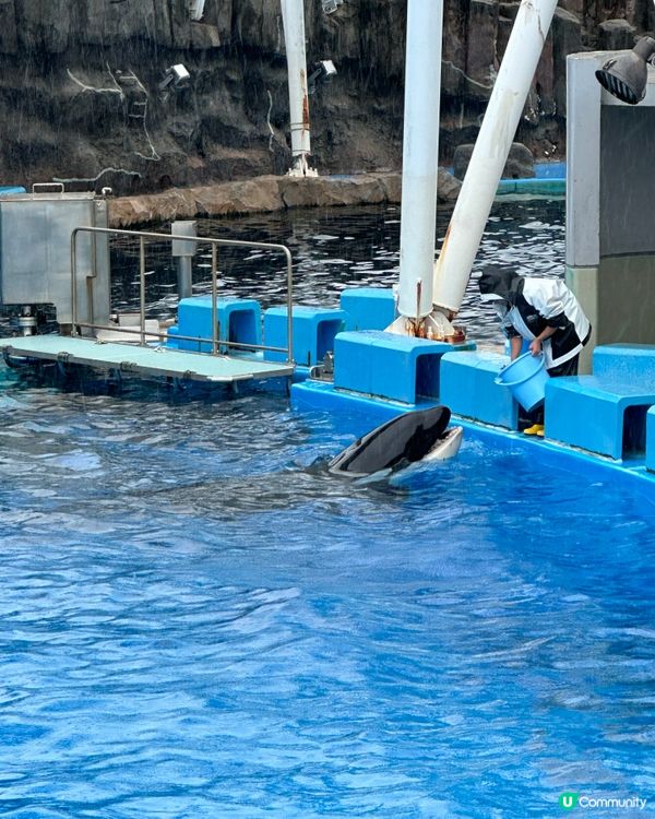 名古屋港水族館