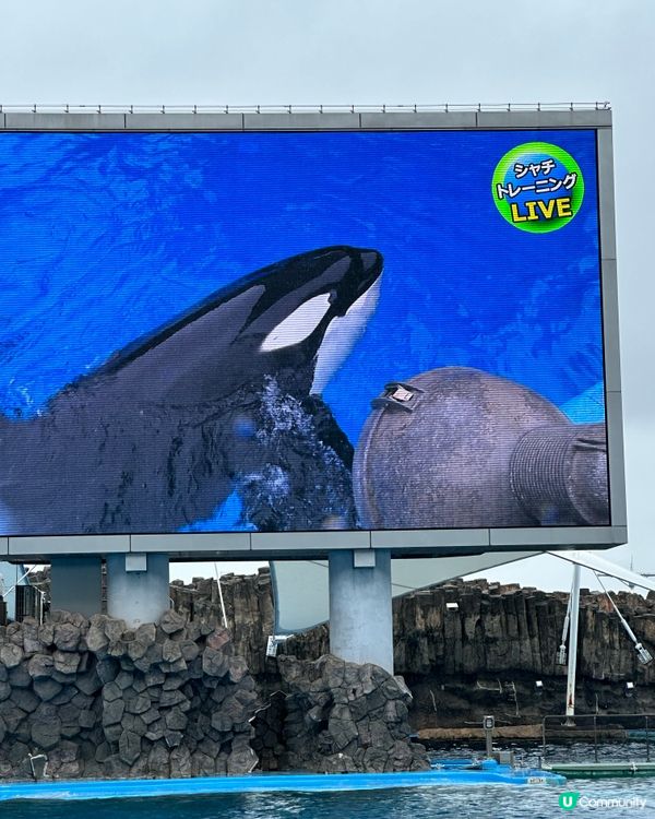 名古屋港水族館