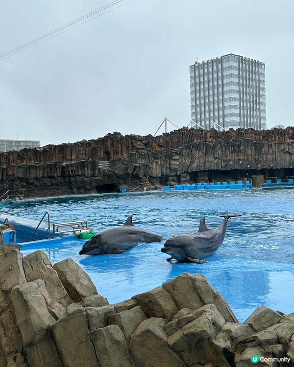 名古屋港水族館