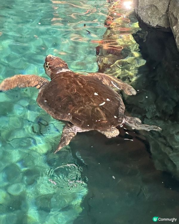 名古屋港水族館
