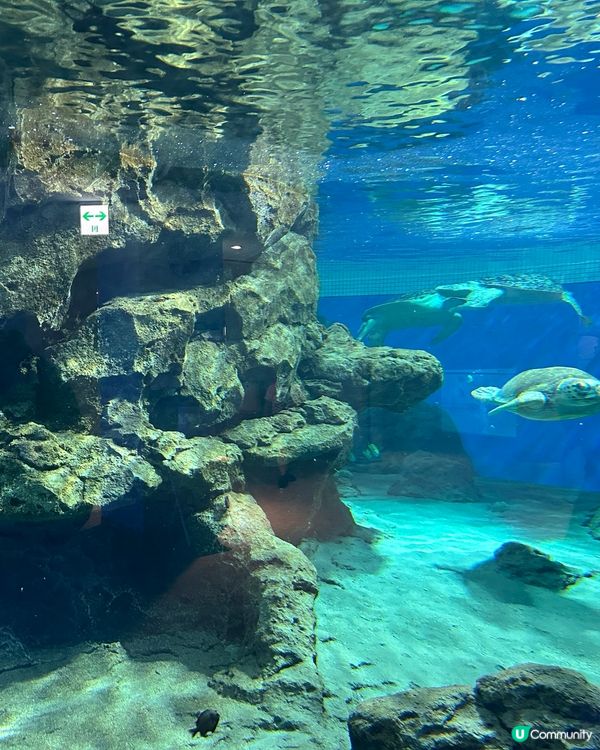 名古屋港水族館