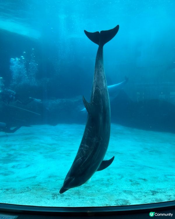名古屋港水族館