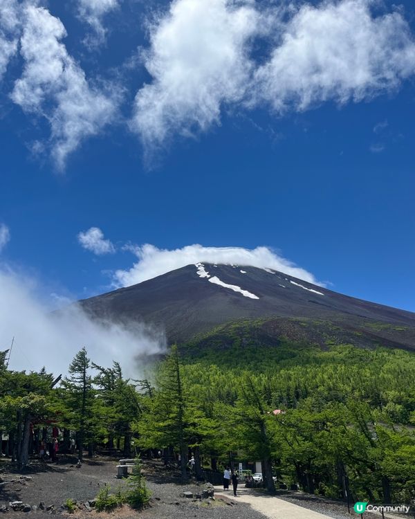 富士山🗻