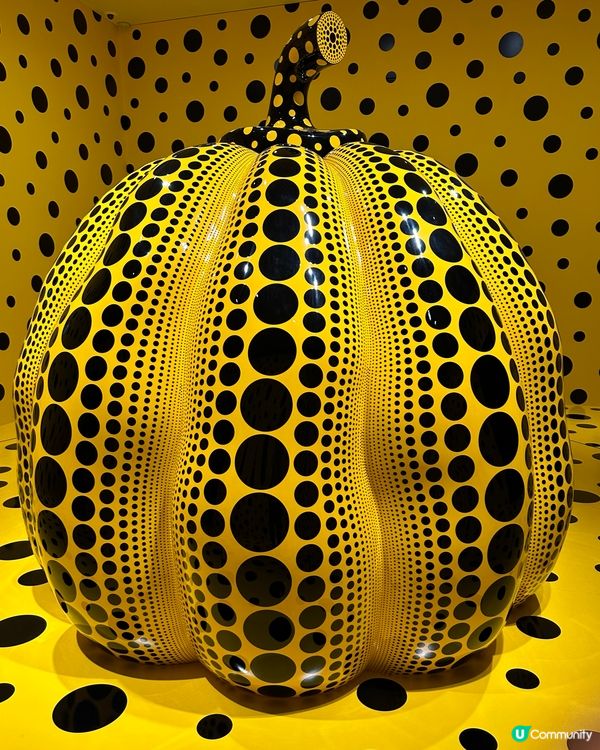 名古屋九日立山黑部、高山、上高地、下呂温泉♨️之旅