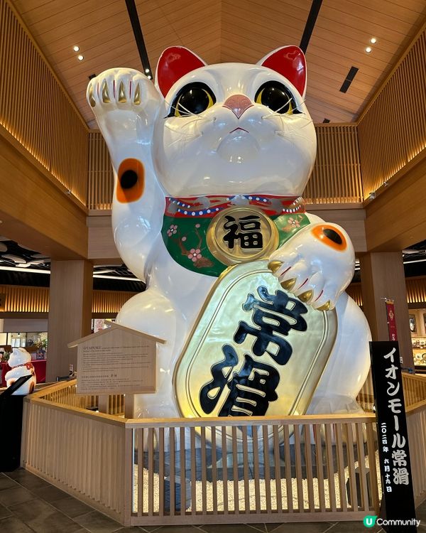 名古屋九日立山黑部、高山、上高地、下呂温泉♨️之旅