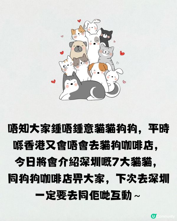 深圳療癒咖啡店☕️過百隻貓貓/柴犬/哈士奇🐶附交通教學🚗