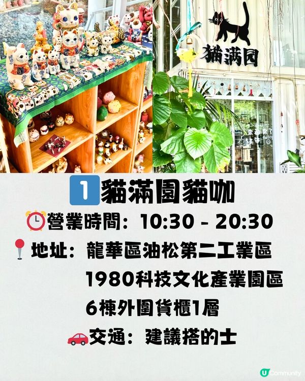 深圳療癒咖啡店☕️過百隻貓貓/柴犬/哈士奇🐶附交通教學🚗