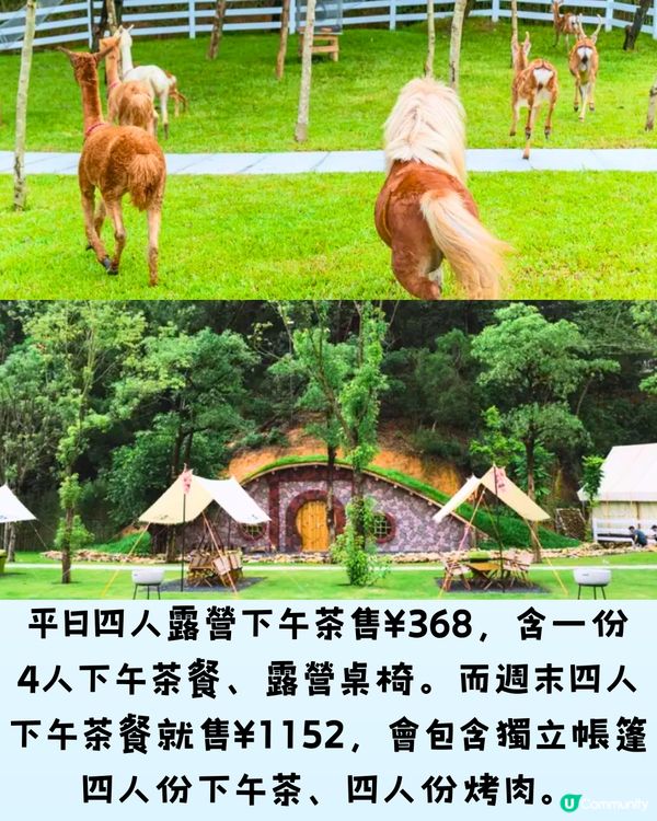 深圳6大美景營地餐廳⛺️如置身童話世界🎆低至¥59.8/位‼️