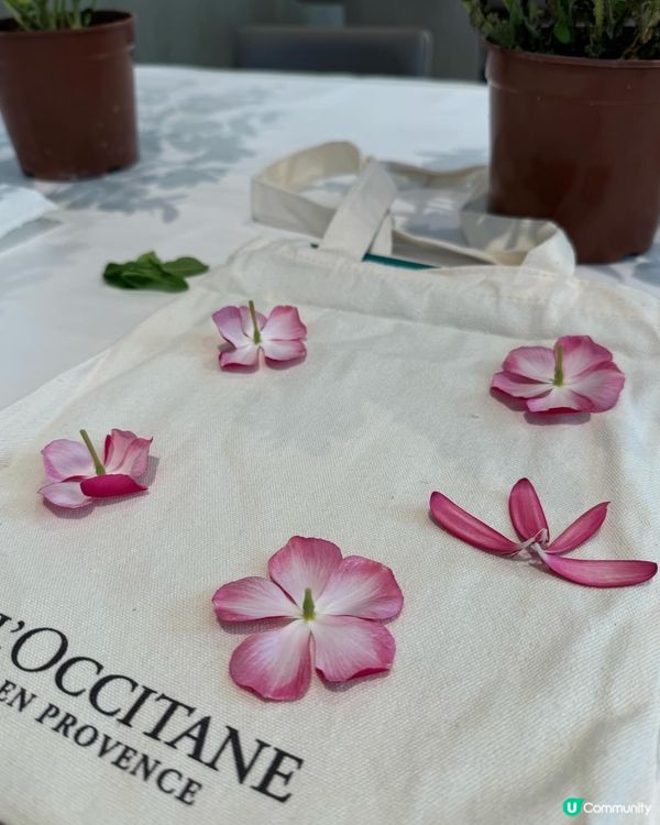 第一次來到朗豪坊的Eaton Club 參加由歐舒丹舉辦的環...