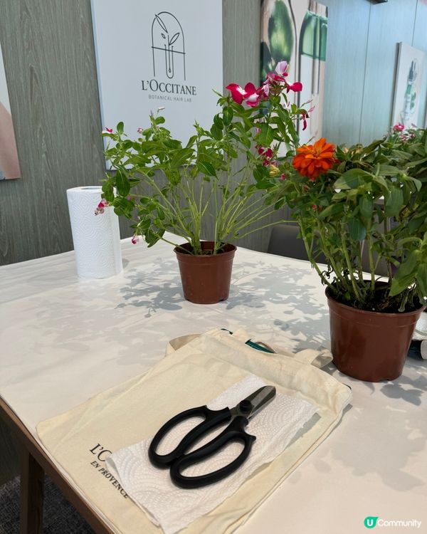 第一次來到朗豪坊的Eaton Club 參加由歐舒丹舉辦的環...