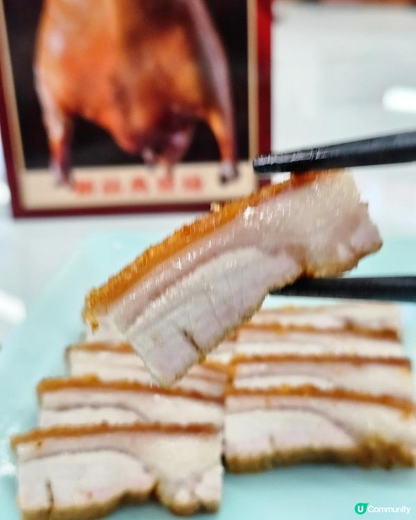 📍深圳必吃！生猛活海鮮～舟記海鮮市集火鍋🍲