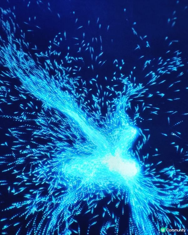 見學打卡一take過