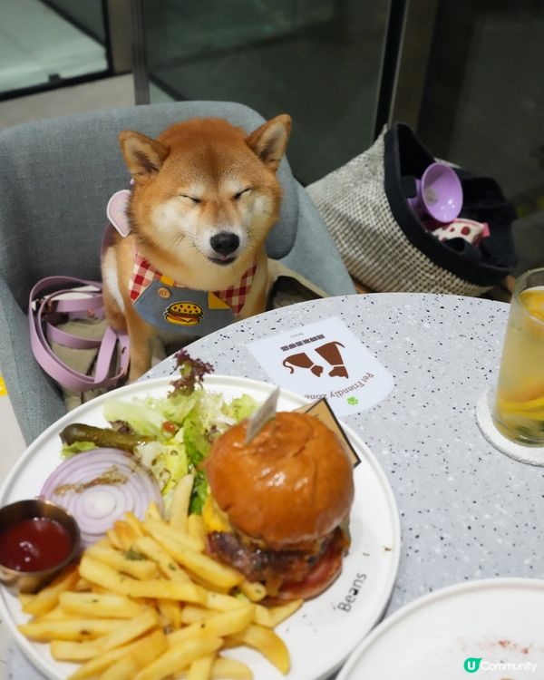 📣青衣終於有室內餐廳可以俾狗狗入🫘