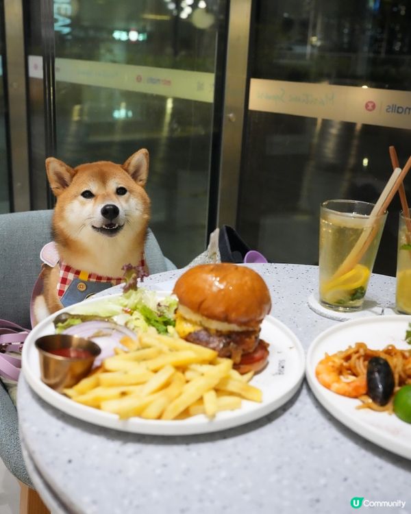 📣青衣終於有室內餐廳可以俾狗狗入🫘