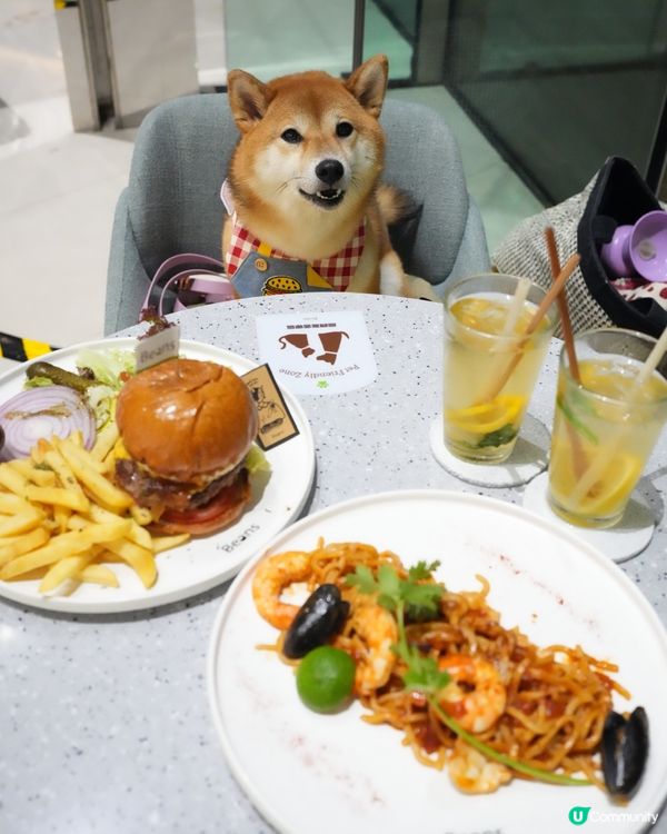 📣青衣終於有室內餐廳可以俾狗狗入🫘