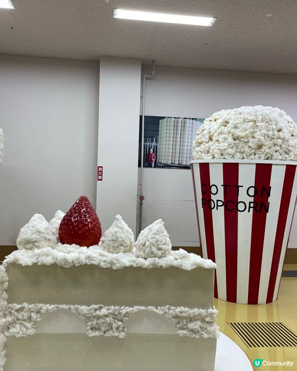 愛媛縣 今治毛巾館😍必去必買