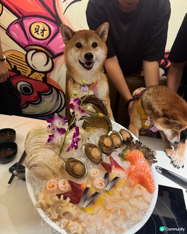 可以同狗狗一齊打邊爐🍲