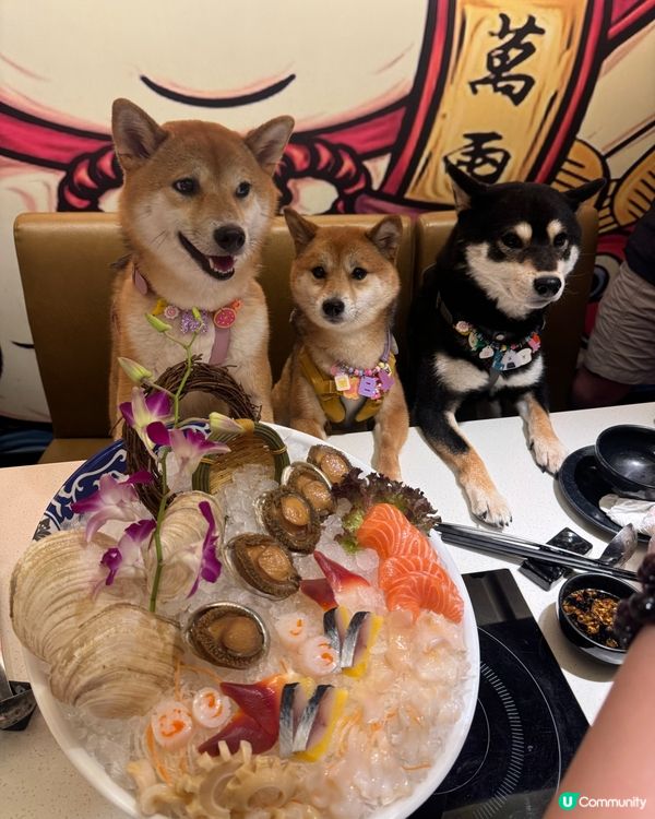 可以同狗狗一齊打邊爐🍲