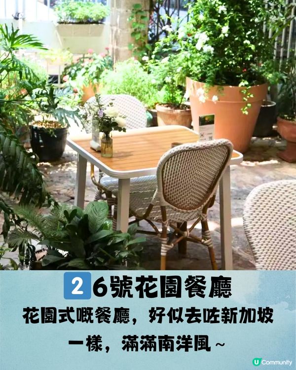 深圳南山6大打卡下午茶🫖鐵塔靚景/南洋風花園/法式宮殿風🍰低至¥53/位‼️