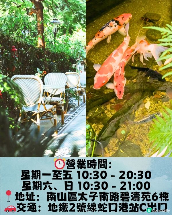 深圳南山6大打卡下午茶🫖鐵塔靚景/南洋風花園/法式宮殿風🍰低至¥53/位‼️