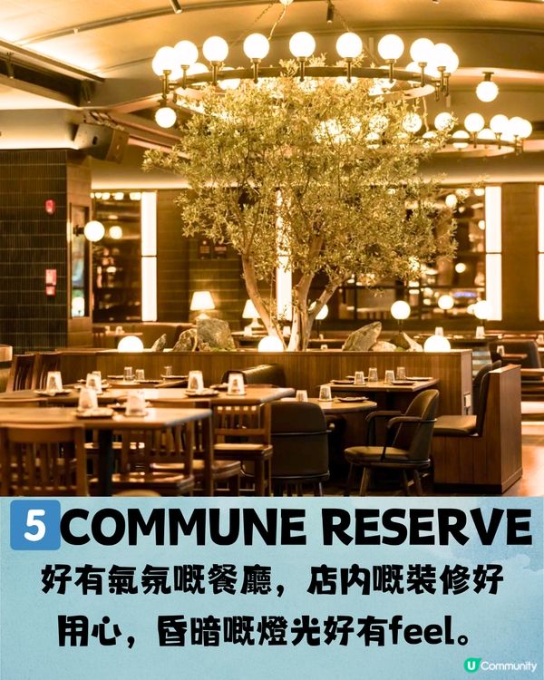 深圳南山6大打卡下午茶🫖鐵塔靚景/南洋風花園/法式宮殿風🍰低至¥53/位‼️