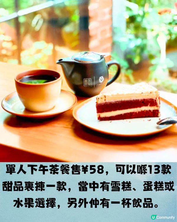 深圳南山6大打卡下午茶🫖鐵塔靚景/南洋風花園/法式宮殿風🍰低至¥53/位‼️