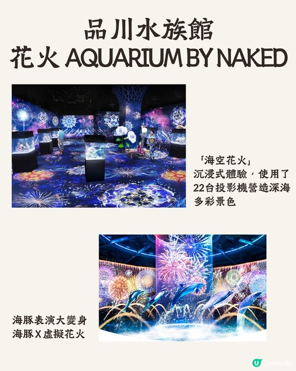 關東2024夏日節日祭典合集🪭必去活動+收費交通一覽