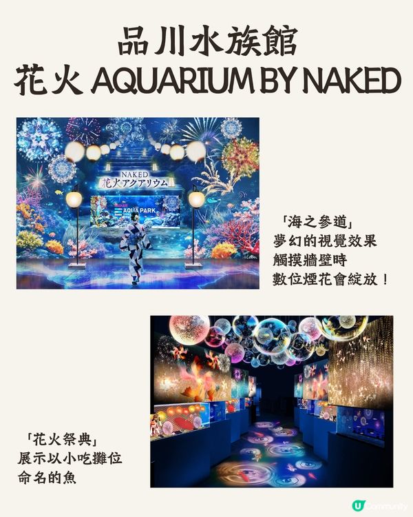 關東2024夏日節日祭典合集🪭必去活動+收費交通一覽