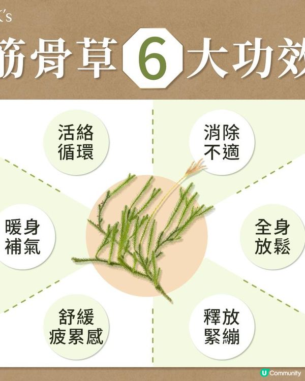 【開箱分享】舒緩酸痛的 「BHK's 內外活絡組 筋骨草萃取+舒緩霜」，四寶媽的日常平價保健好物