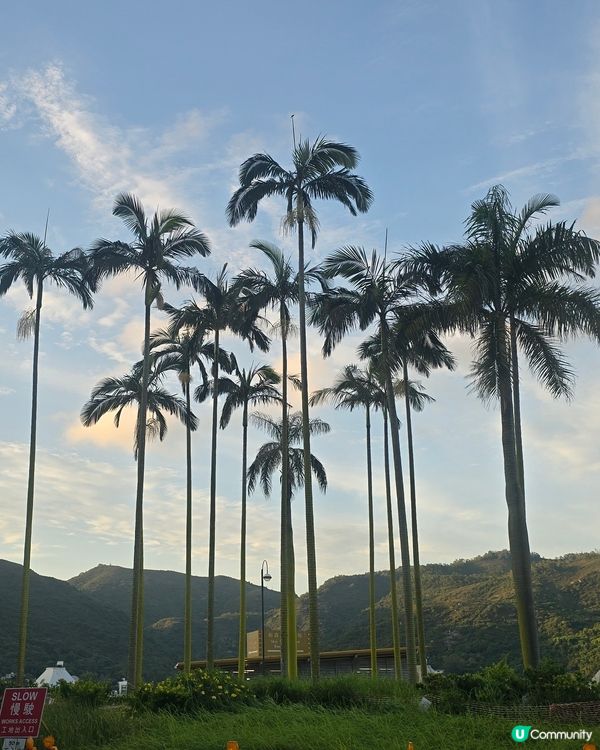 將會拆卸的梅窩冬菇亭