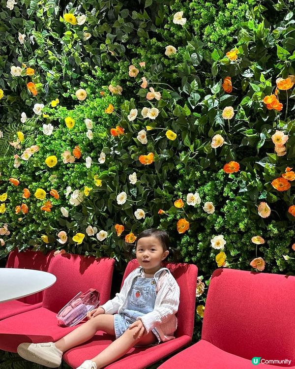 荃灣88親子天堂🤩 2萬6千呎玩到停唔到！