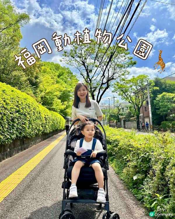 福岡親子遊 🦁🐘🐒 #福岡動植物公園
