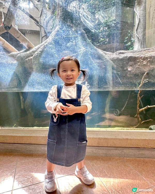 福岡親子遊 🦁🐘🐒 #福岡動植物公園