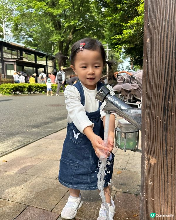 福岡親子遊 🦁🐘🐒 #福岡動植物公園