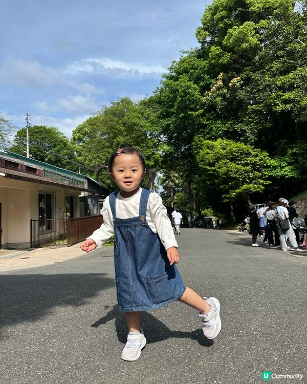 福岡親子遊 🦁🐘🐒 #福岡動植物公園