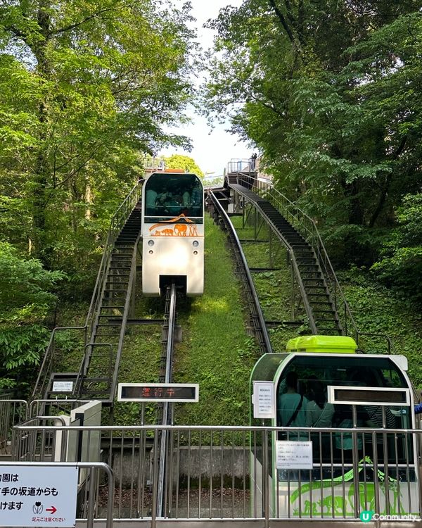 福岡親子遊 🦁🐘🐒 #福岡動植物公園