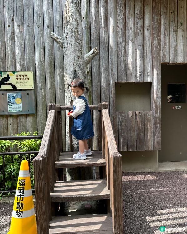 福岡親子遊 🦁🐘🐒 #福岡動植物公園