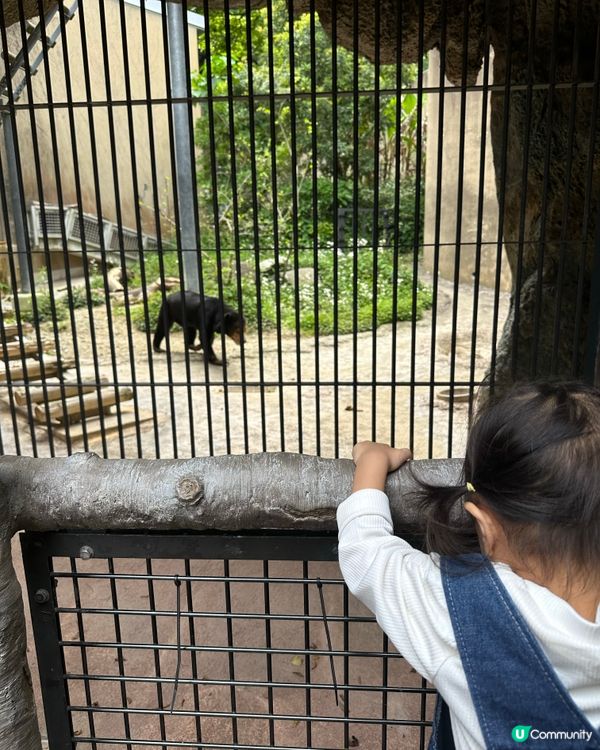 福岡親子遊 🦁🐘🐒 #福岡動植物公園