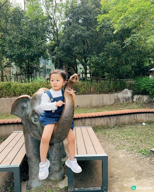 福岡親子遊 🦁🐘🐒 #福岡動植物公園