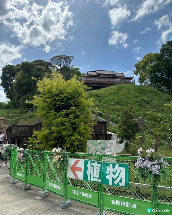 福岡親子遊 🦁🐘🐒 #福岡動植物公園