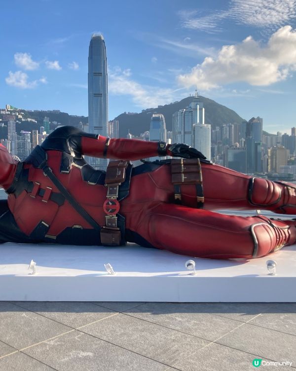 死侍在維港的日子