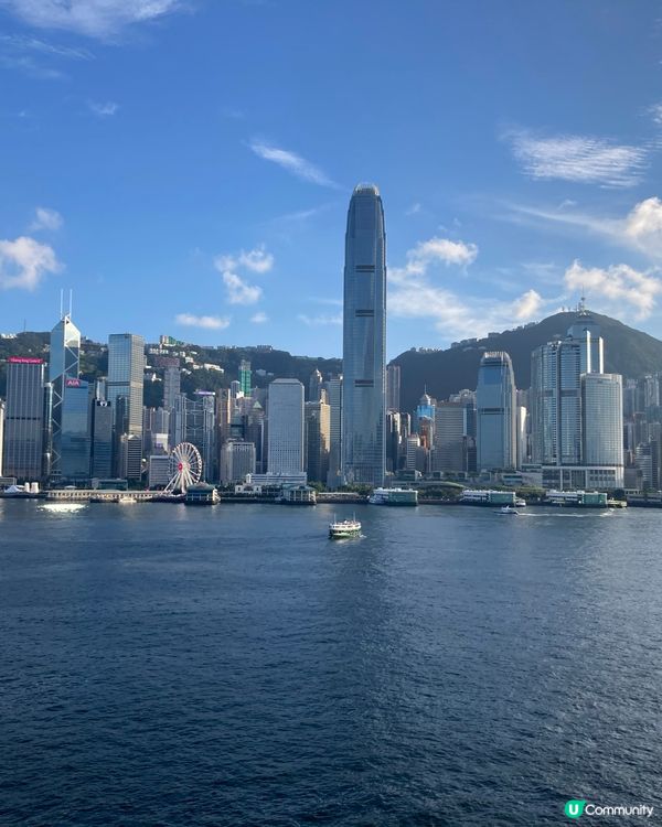 死侍在維港的日子